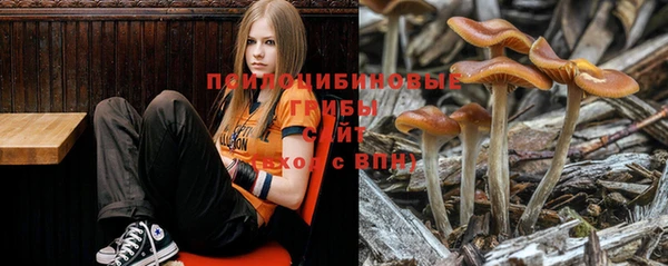 MESCALINE Армянск